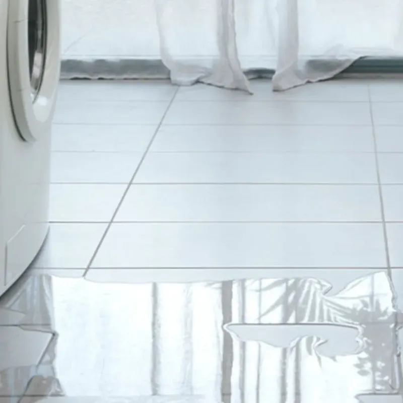 Appliance Leak Cleanup in Saxapahaw, NC
