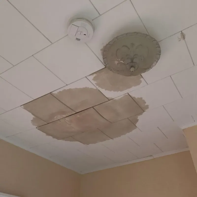 Ceiling Water Damage Repair in Saxapahaw, NC