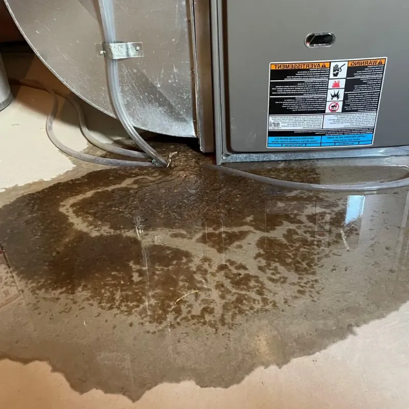 Pipe Burst and Leak Restoration in Saxapahaw, NC