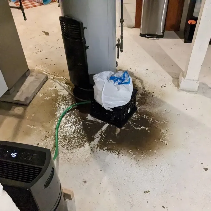 Sewage Backup Cleanup Service in Saxapahaw, NC
